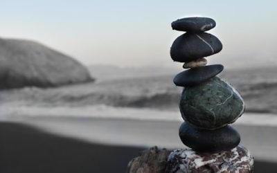 images_ (3)